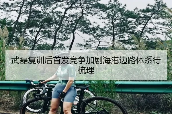 武磊复训后首发竞争加剧海港边路体系待梳理